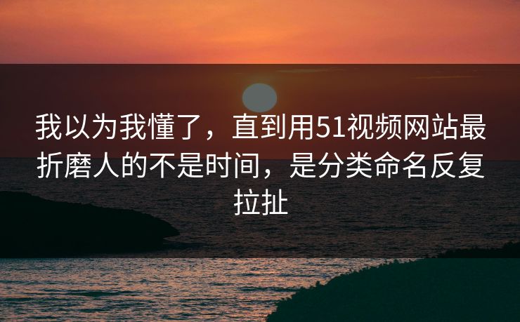 我以为我懂了，直到用51视频网站最折磨人的不是时间，是分类命名反复拉扯