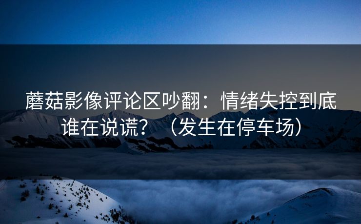 蘑菇影像评论区吵翻：情绪失控到底谁在说谎？（发生在停车场）